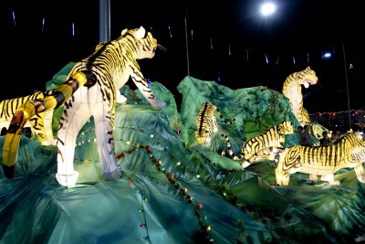 year of tiger, 2010