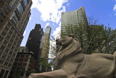 lion outside library