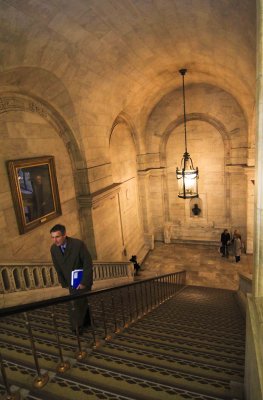 stairs, new york public library
