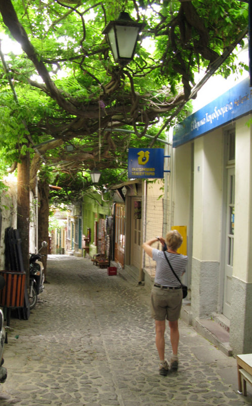 Molivos, many small alleys are roofed by wisteria.jpg
