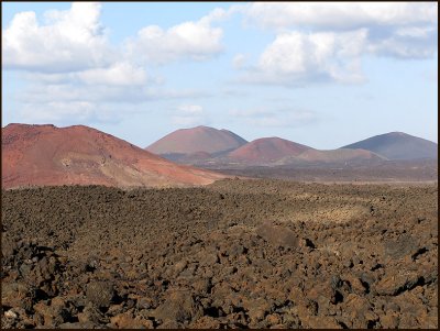 LANZAROTE WILDLIFE