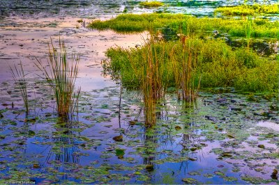 Kensington State Park.jpg