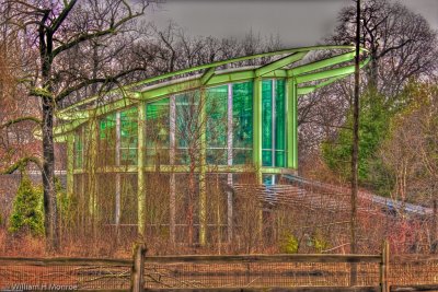 Amphibiville 2_Detroit Zoo.jpg