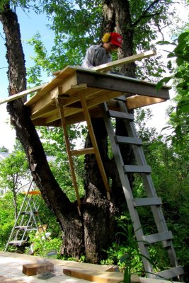 Construction de la cabane dans un arbre