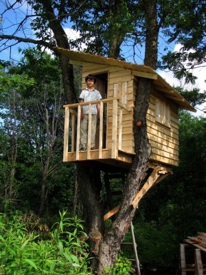 La cabane dans l'arbre