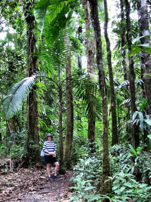 Marche dans la fort tropicale (Rainforest)