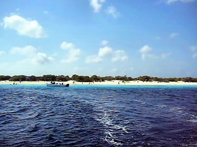 Snorkel  Klein Bonaire, paradis de la plonge sous marine