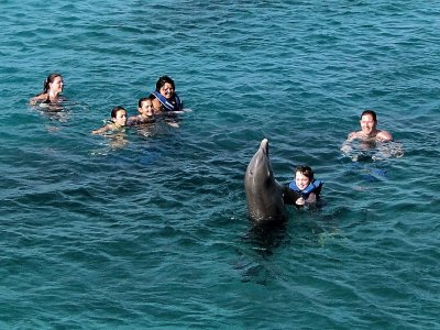 Interaction avec les dauphins