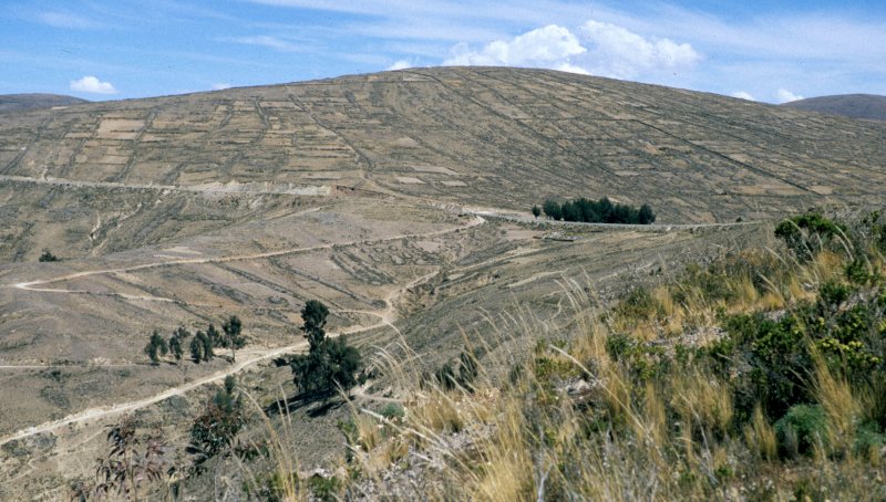 BOLIVIA - LAKE TITICACA. E.jpg