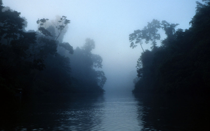 ECUADOR - AMAZONA - RIVER ZONE.jpg
