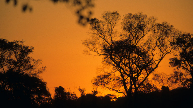 PANTANAL - SUNSET E.jpg