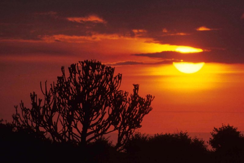 SERENGETI SUNSET 6.jpg