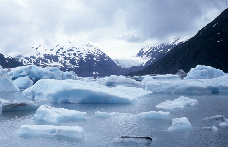 ALASKA - PORTAGE GLACIER A.jpg