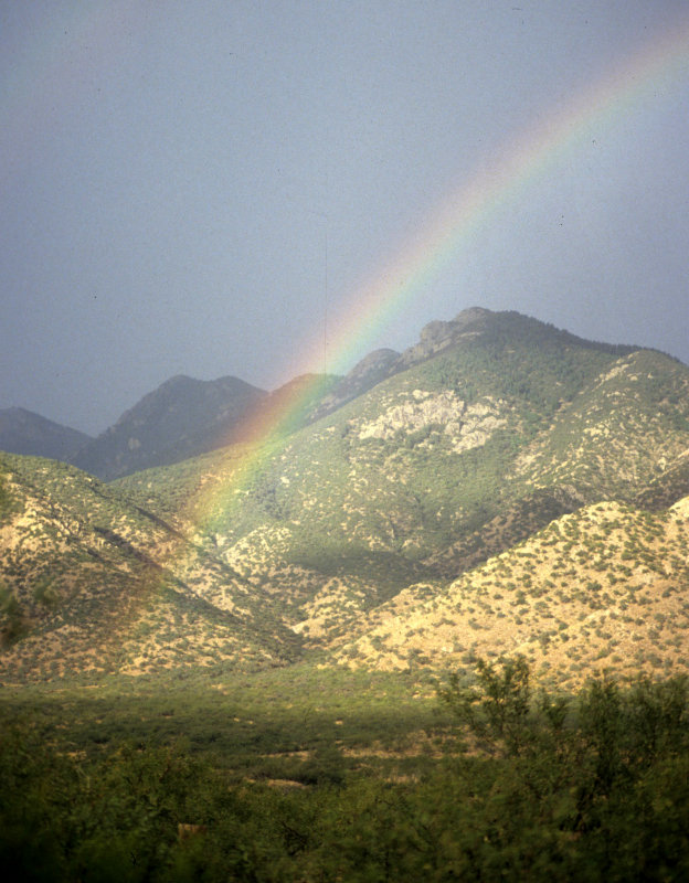 ARIZONA - MADERA CANYON - MONSOON RAINBOW C.jpg