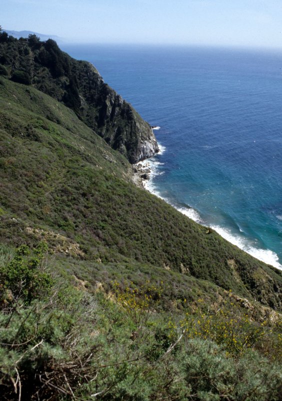 CALIFORNIA - BIG SUR - COAST VISTA A.jpg