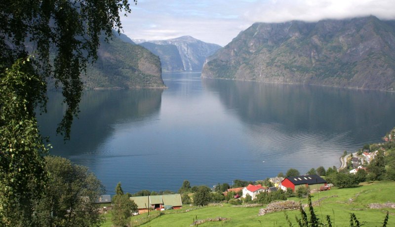 NORWAY - AURLAND FJORD (2).jpg