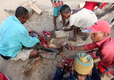 ANDOHAHELA NATIONAL PARK - ANTANDROY NEAR ENTRANCE - CUTTING UP THE PORK.JPG