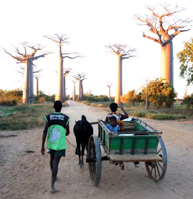 MORONDAVA MADAGASCAR - SCENES NEARBY (2).JPG