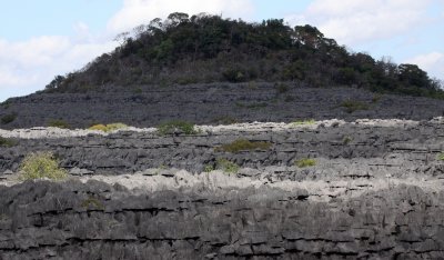 ANKARANA NATIONAL PARK MADAGASCAR - TSINGY FOREST (27).JPG