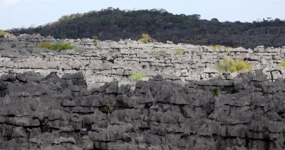 ANKARANA NATIONAL PARK MADAGASCAR - TSINGY FOREST (29).JPG