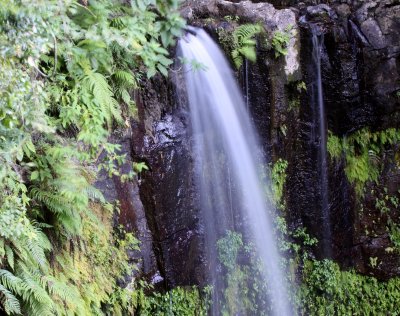 MONTAGNE D'AMBRE NATIONAL PARK MADAGASCAR - SACRED FALLS.JPG