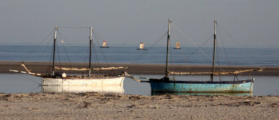 MORONDAVA - BEACH SCENES - MADAGASCAR (13).JPG