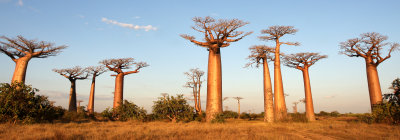 Madagascar Landscapes
