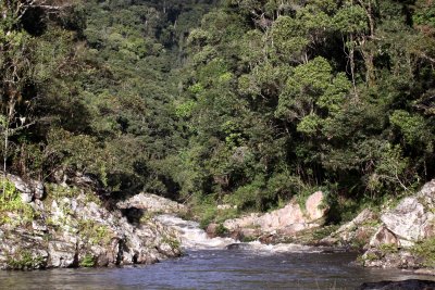 RANOMAFANA NATIONAL PARK MADGASCAR - VIEW OF PRIMARY FOREST (5).JPG