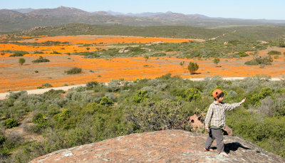 NAMAQUALAND SOUTH AFRICA - VIEWING THE WILDFLOWERS (6).JPG