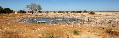 NAMIBIA - ETOSHA NATIONAL PARK WATERHOLE (2).JPG