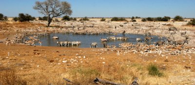NAMIBIA - ETOSHA NATIONAL PARK WATERHOLE.JPG