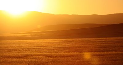 NAMIBIA - SKELETON COAST NATIONAL PARK - EAST ENTRANCE (25).JPG