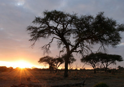 Landscapes of South Africa and Botswana