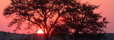 KGALAGADI NATIONAL PARK SOUTH AFRICA - SUNSET OVER THE KALAHARI (3).JPG