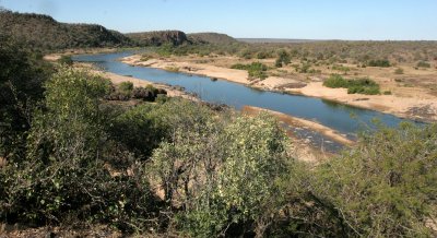 KRUGER NATIONAL PARK SOUTH AFRICA - BUSHVELD COMMUNITY (6).JPG