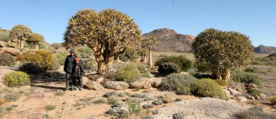 NAMAQUALAND - KOKERBOOM PLANT COMMUNITY  - GOEGAP NATURE RESERVE SOUTH AFRICA (23).JPG
