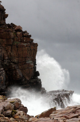 TABLE MOUNTAIN NATIONAL PARK SOUTH AFRICA - CAPE OF GOOD HOPE (10).JPG