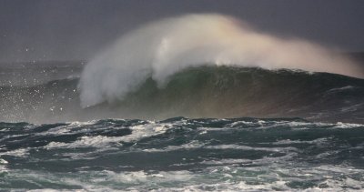 WEST COAST NATIONAL PARK SOUTH AFRICA - SURF'S UP! (6).JPG