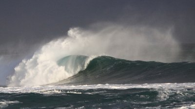 WEST COAST NATIONAL PARK SOUTH AFRICA - SURF'S UP! (8).JPG