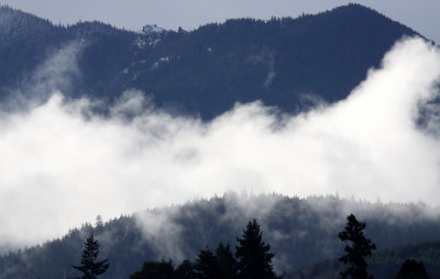 HURRICANE RIDGE - FROM PA HARBOR (2).JPG