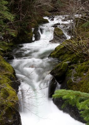 OLYMPIC HOTSPRINGS TRAIL - TRIBUTARY RIVER IN ELWHA WATERSHED (16).JPG