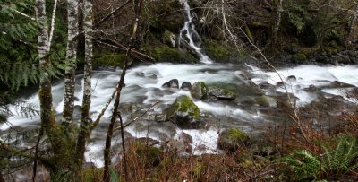 OLYMPIC HOTSPRINGS TRAIL - TRIBUTARY RIVER IN ELWHA WATERSHED.JPG