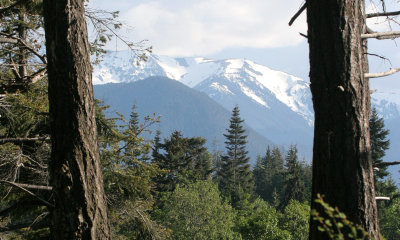 OLYMPIC NATIONAL PARK - VIEWS OF AND FROM (8).jpg
