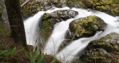 SOL DUC FALLS AND FOREST - ONP WA (41).JPG
