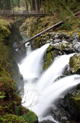 SOL DUC FALLS AND FOREST - ONP WA (48).JPG