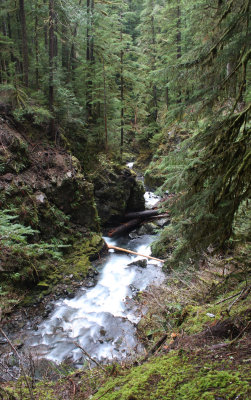 SOL DUC FALLS AND FOREST - ONP WA (71).JPG