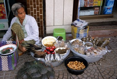 NAKHON - LADY SELLING BUGS AND TURTLES A.jpg