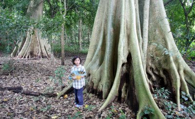 HUAI KHA KHAENG - FOREST TREK IN TO THE INTERIOR (6).JPG