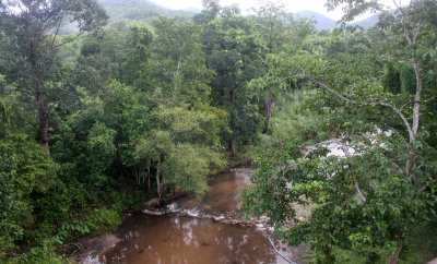 HUAI KHA KHAENG - STREAM JUNGLE SCENE.JPG