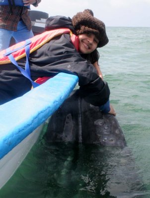 CETACEAN - WHALE - GRAY WHALE - PETTING FRIENDLY WHALES - SAN IGNACIO LAGOON BAJA MEXICO (150).JPG